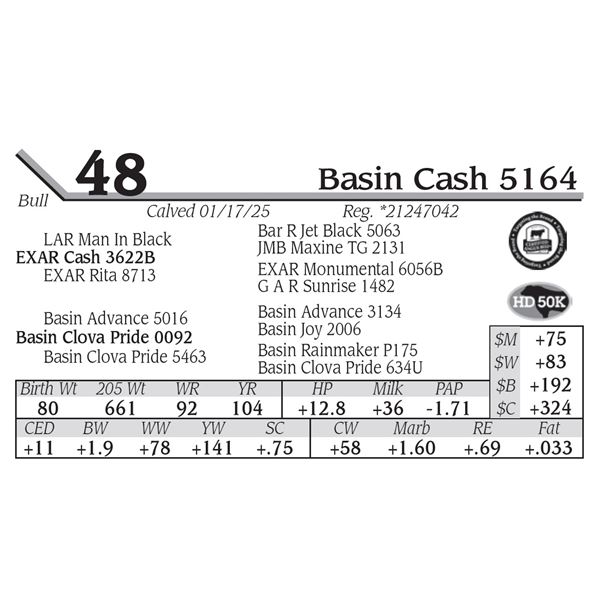 Basin Cash 5164