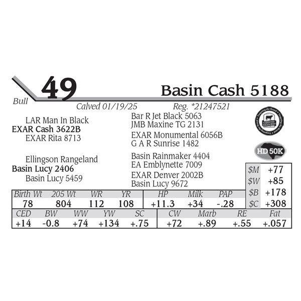 Basin Cash 5188