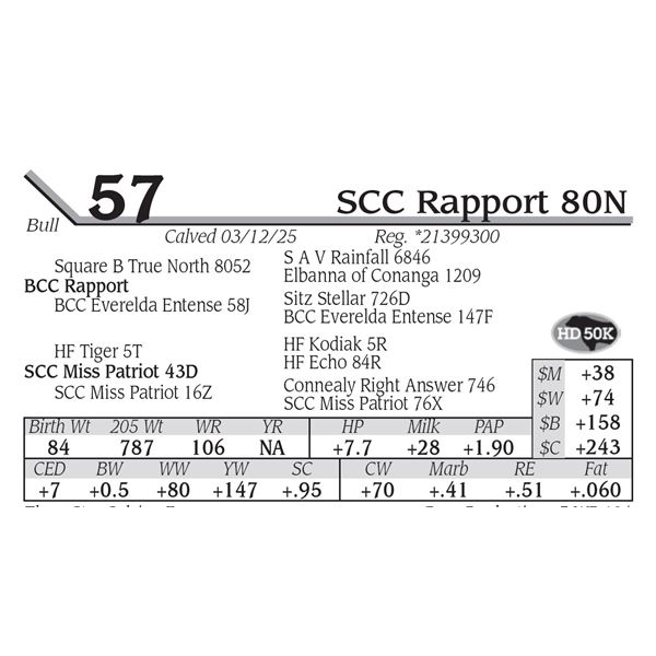 SCC Rapport 80N