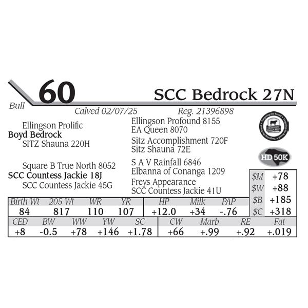 SCC Bedrock 27N