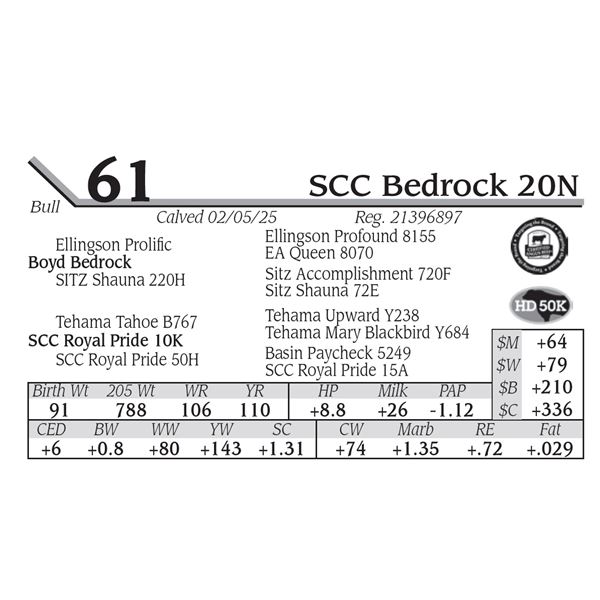 SCC Bedrock 20N