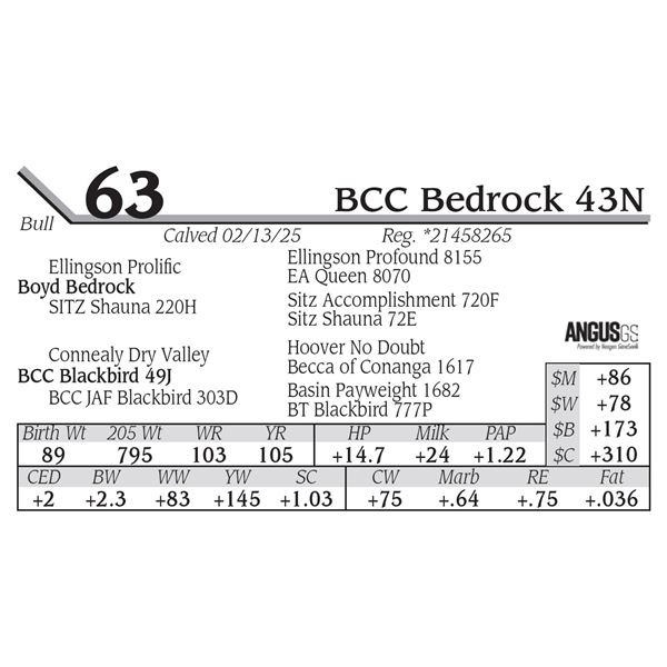 BCC Bedrock 43N