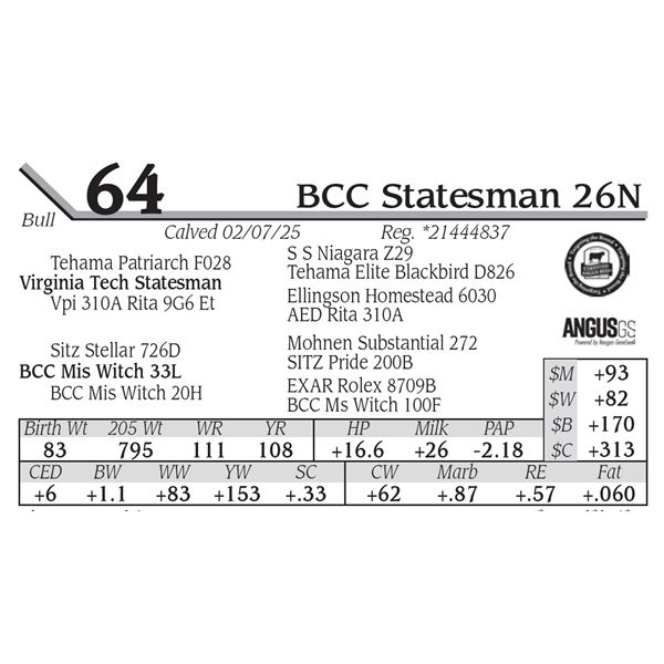BCC Statesman 26N