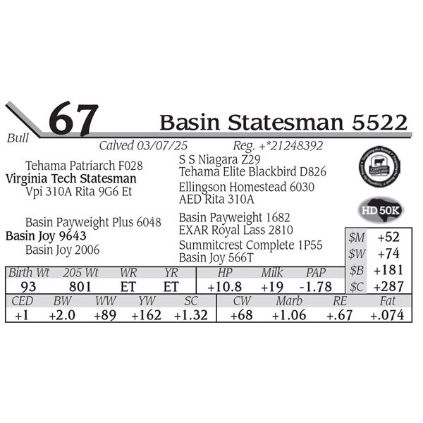 Basin Statesman 5522