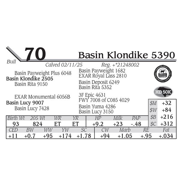 Basin Klondike 5390