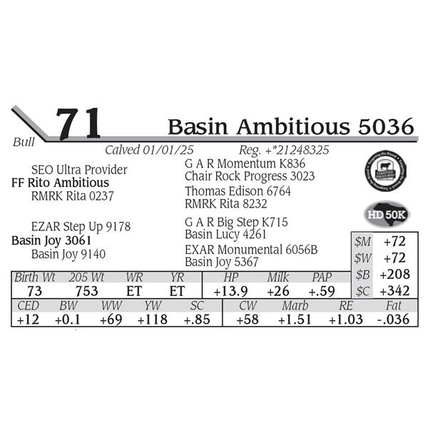 Basin Ambitious 5036