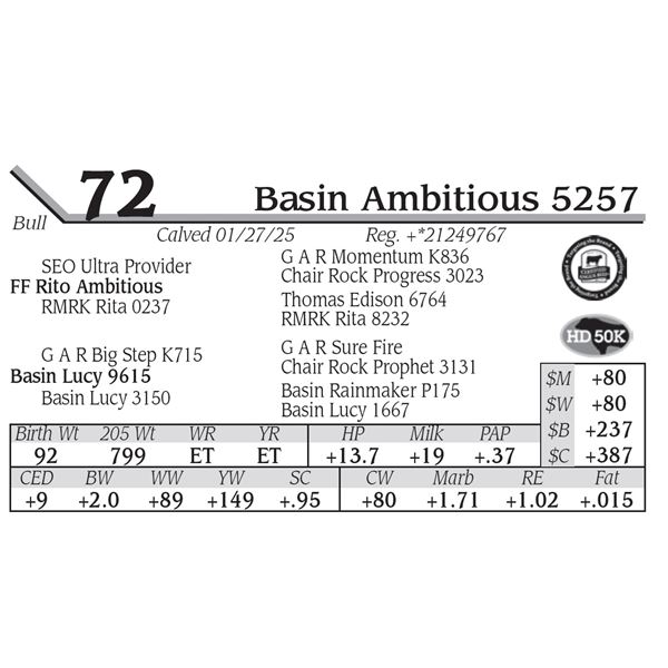 Basin Ambitious 5257