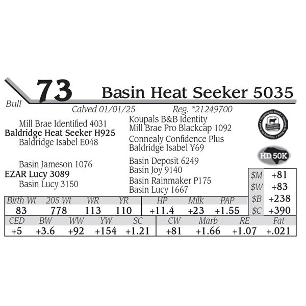 Basin Heat Seeker 5035