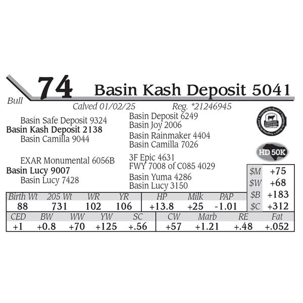 Basin Kash Deposit 5041