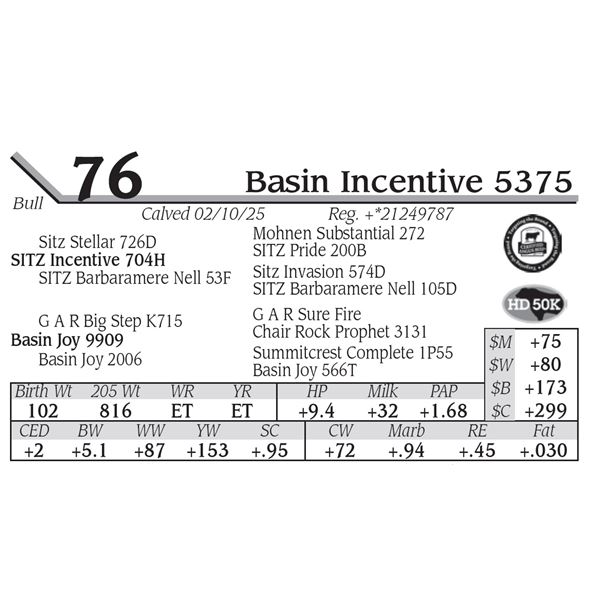 Basin Incentive 5375