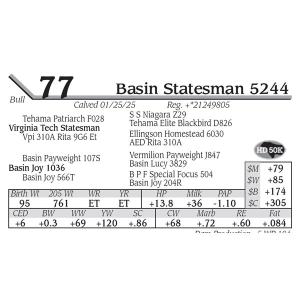 Basin Statesman 5244