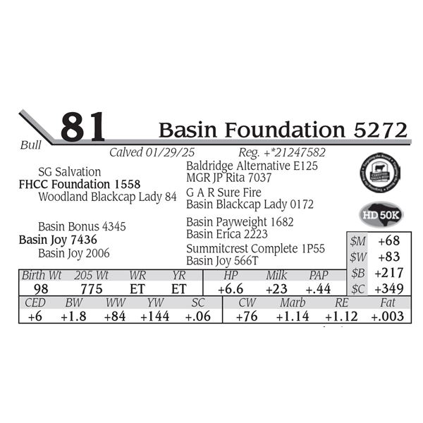 Basin Foundation 5272
