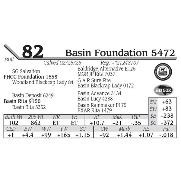 Basin Foundation 5472