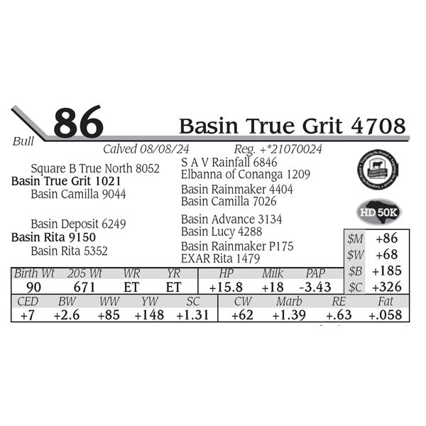 Basin True Grit 4708
