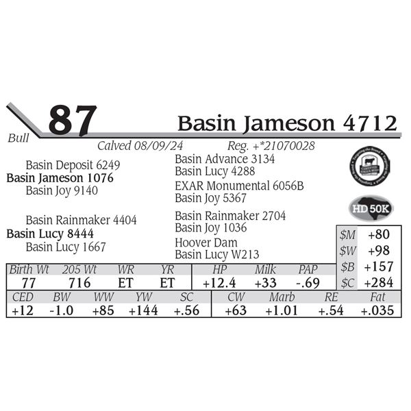 Basin Jameson 4712