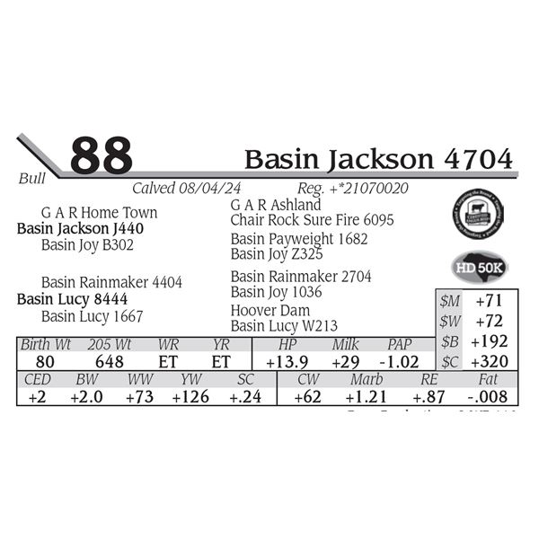 Basin Jackson 4704