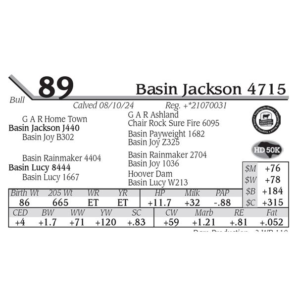 Basin Jackson 4715