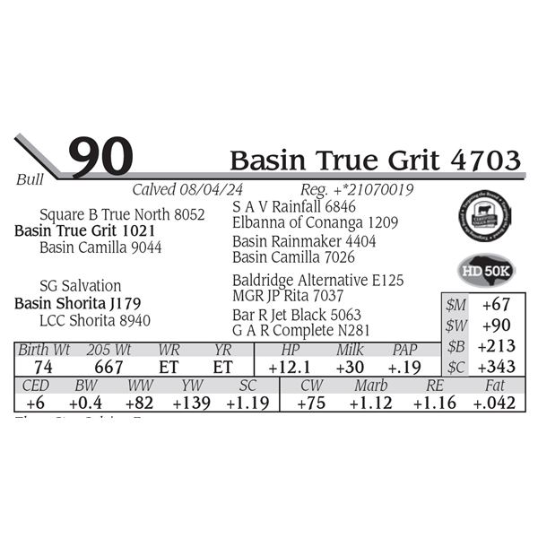 Basin True Grit 4703