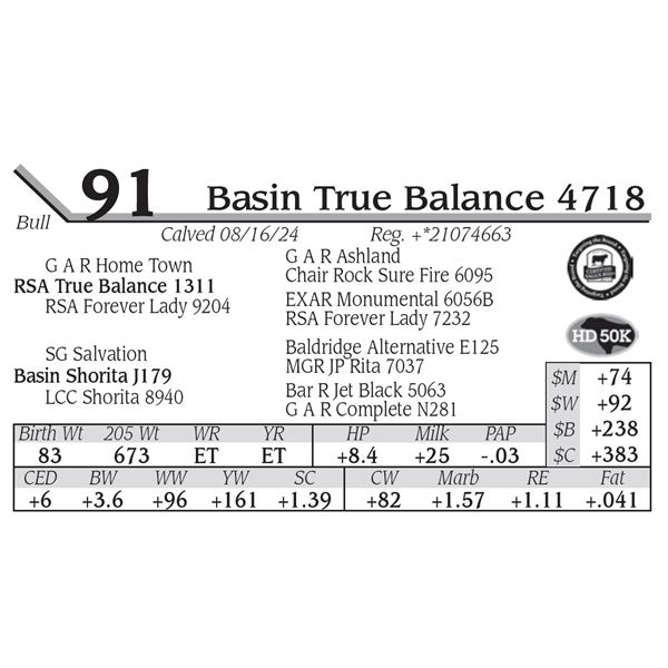 Basin True Balance 4718