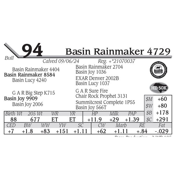 Basin Rainmaker 4729