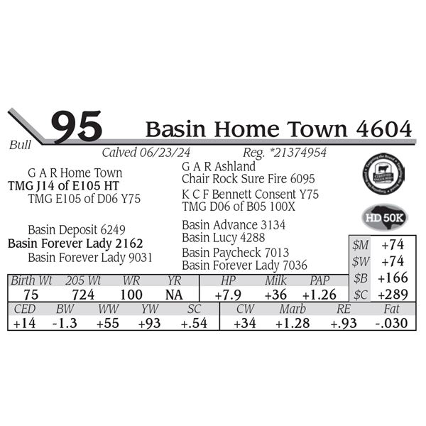 Basin Home Town 4604