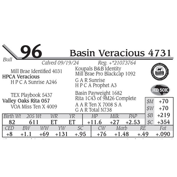Basin Veracious 4731