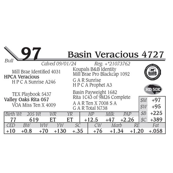 Basin Veracious 4727