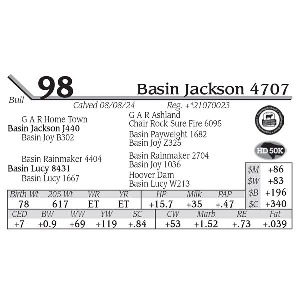 Basin Jackson 4707