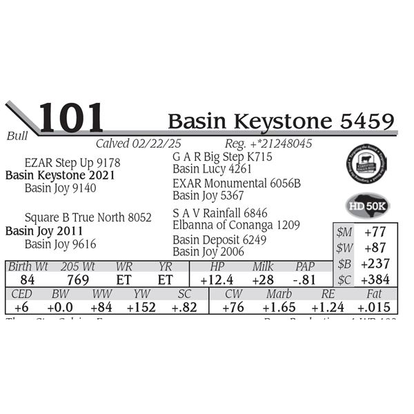 Basin Keystone 5459