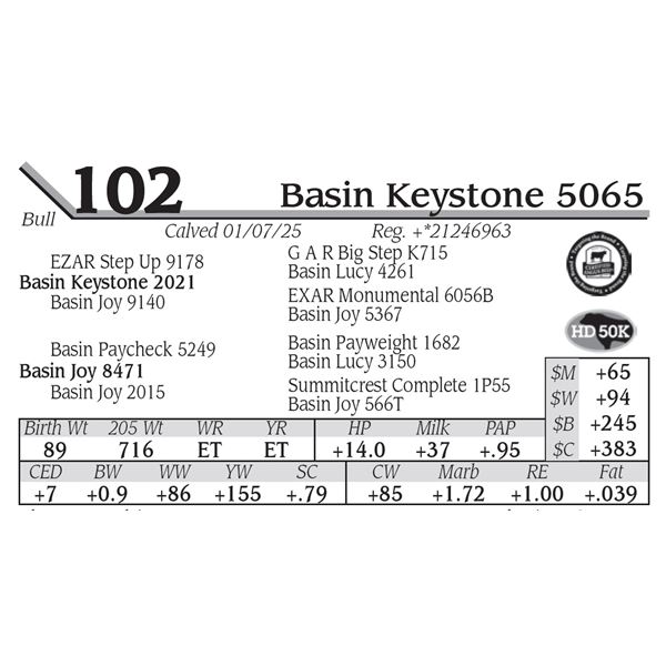 Basin Keystone 5065
