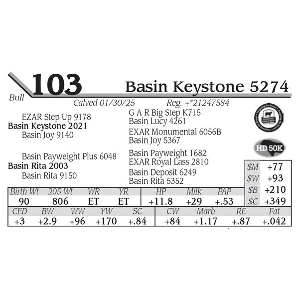 Basin Keystone 5274