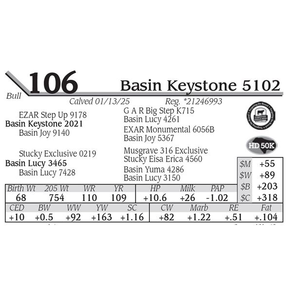 Basin Keystone 5102