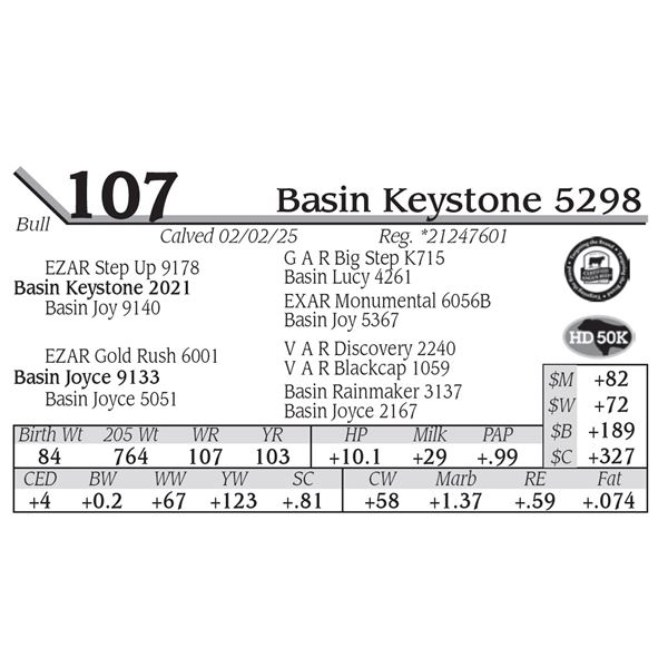 Basin Keystone 5298