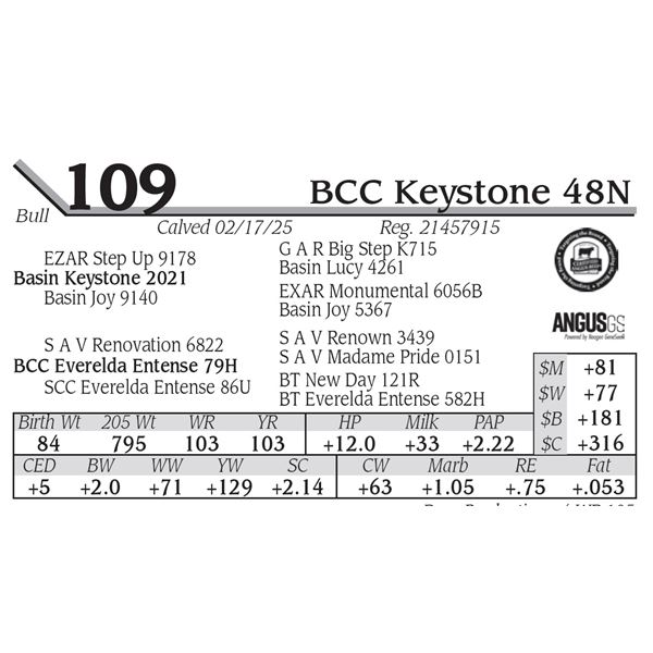 BCC Keystone 48N