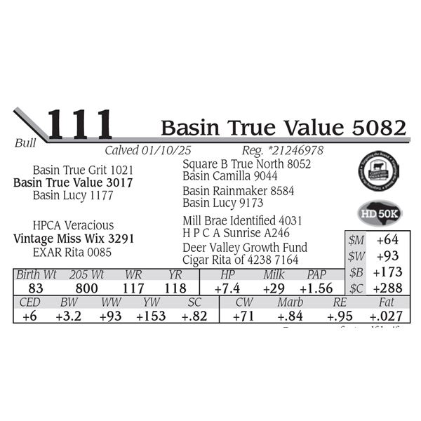 Basin True Value 5082