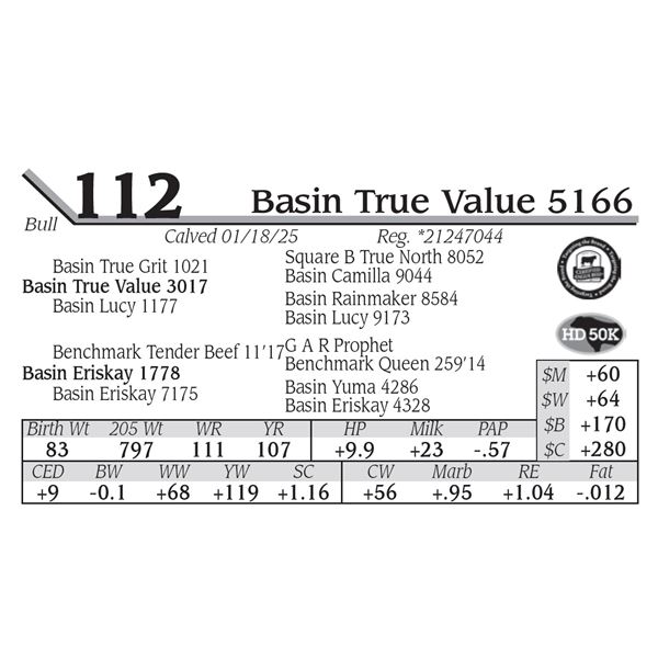 Basin True Value 5166