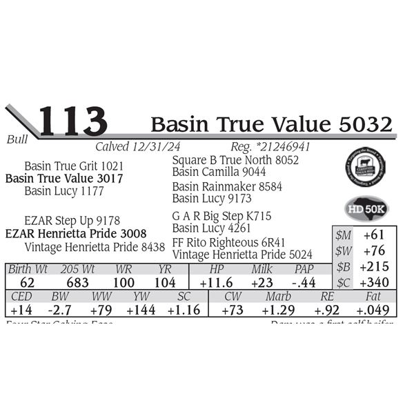 Basin True Value 5032