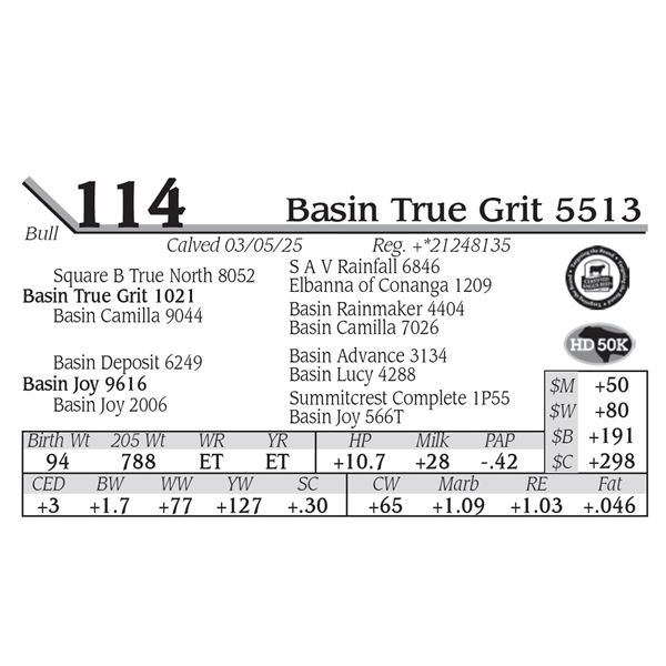 Basin True Grit 5513