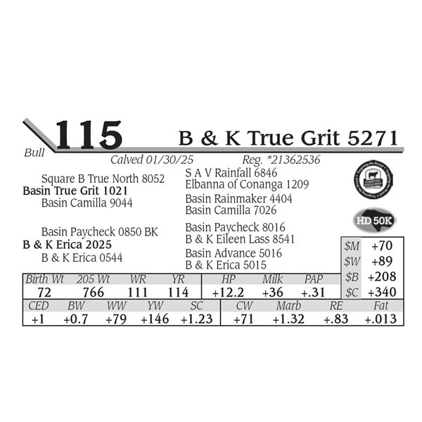 B & K True Grit 5271
