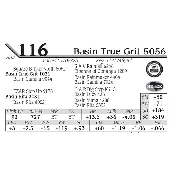 Basin True Grit 5056