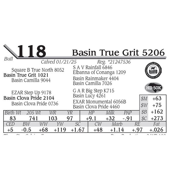 Basin True Grit 5206