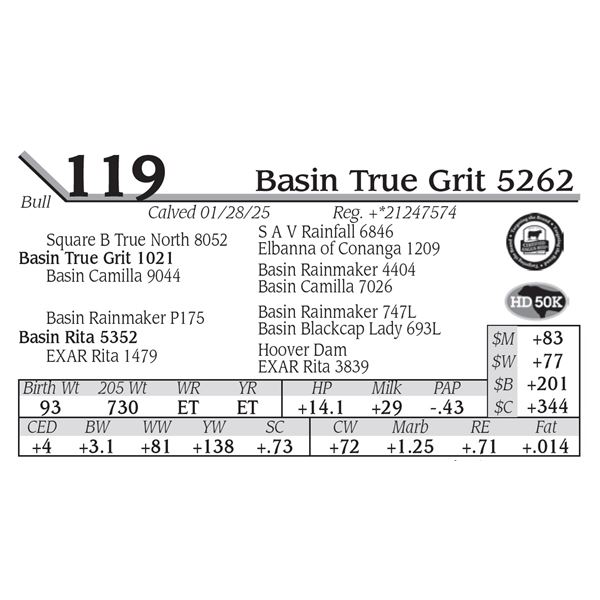 Basin True Grit 5262