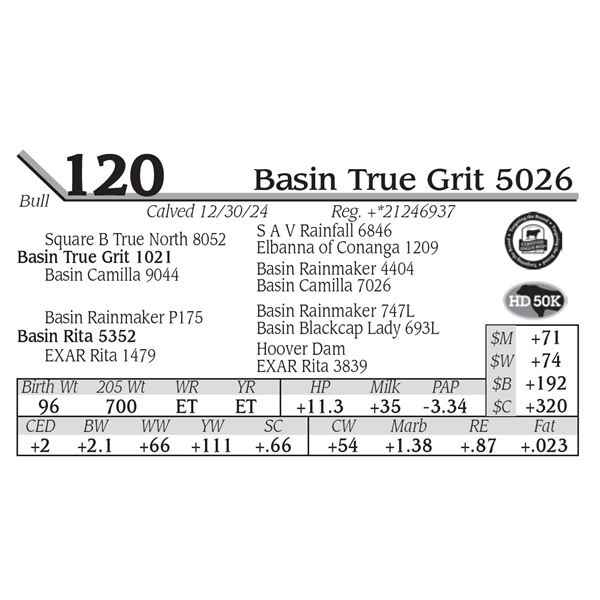 Basin True Grit 5026