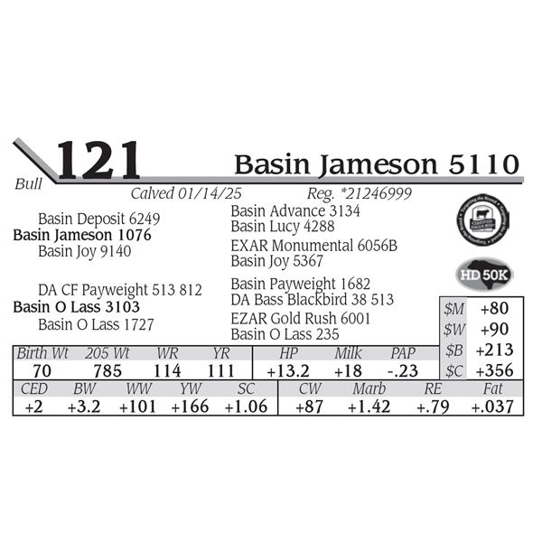 Basin Jameson 5110