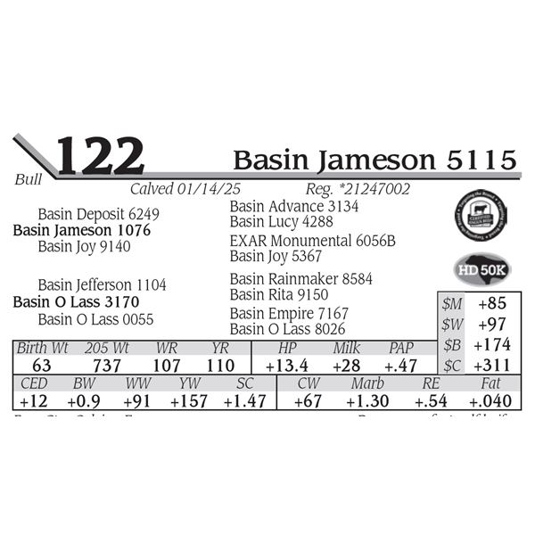 Basin Jameson 5115