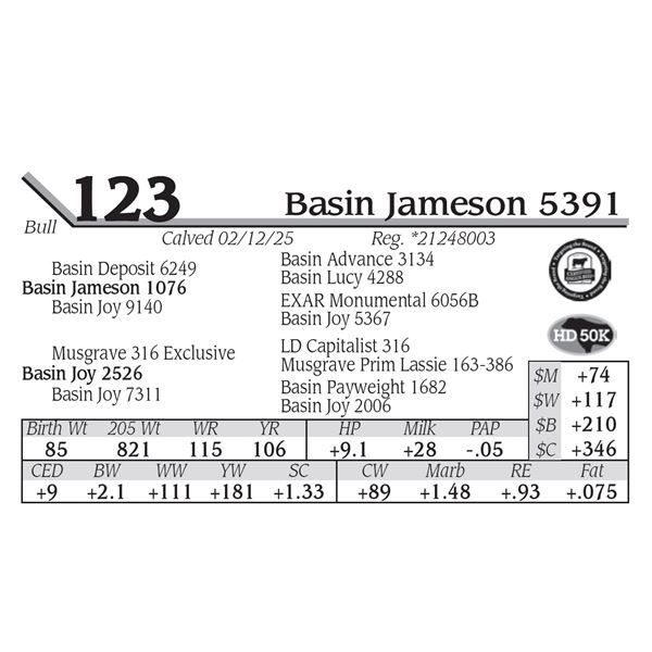 Basin Jameson 5391