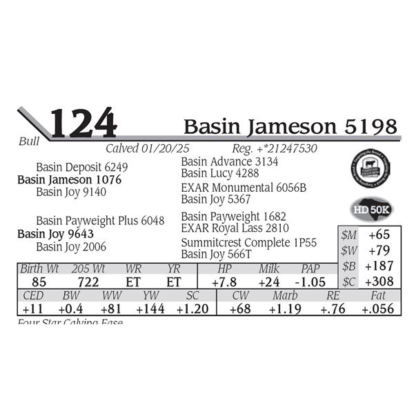 Basin Jameson 5198