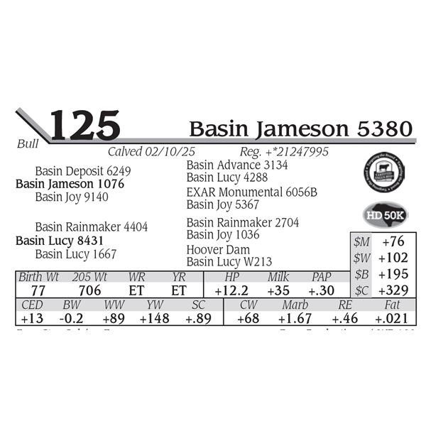 Basin Jameson 5380