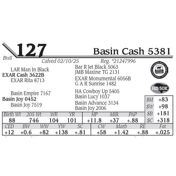 Basin Cash 5381
