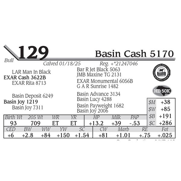 Basin Cash 5170